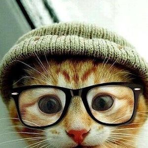 Meet your Posher, Karen